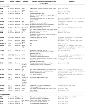 Epilepsy-Related Voltage-Gated Sodium Channelopathies: A Review